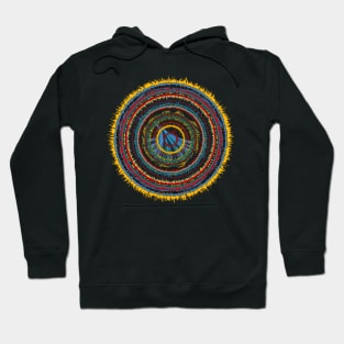 genome circles 14-1 Hoodie